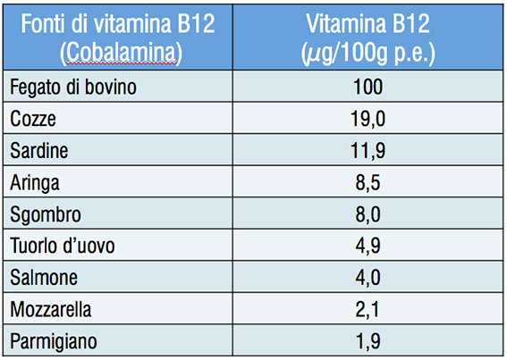 Fonti di Vitamina B12