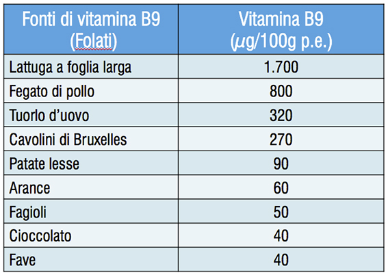Fonti di vitamina B9