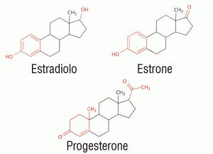 farmaci risparmiatori di steroidi casuale Suggerimento