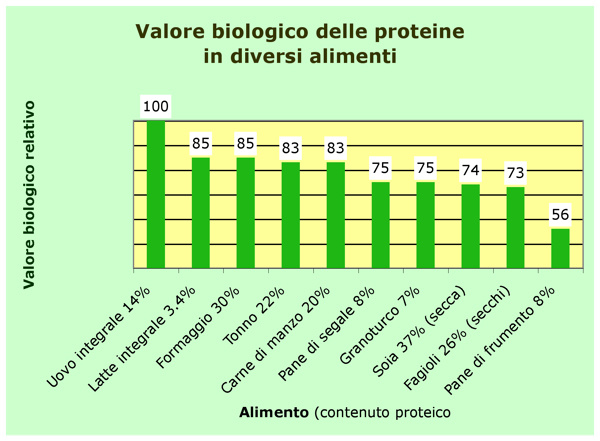 valore biologico delle proteine in diversi alimenti