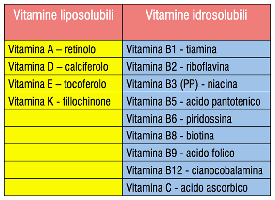 Vitamine liposolubili e idrosolubili